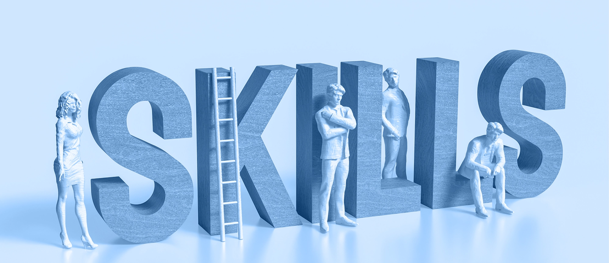 Skills visual